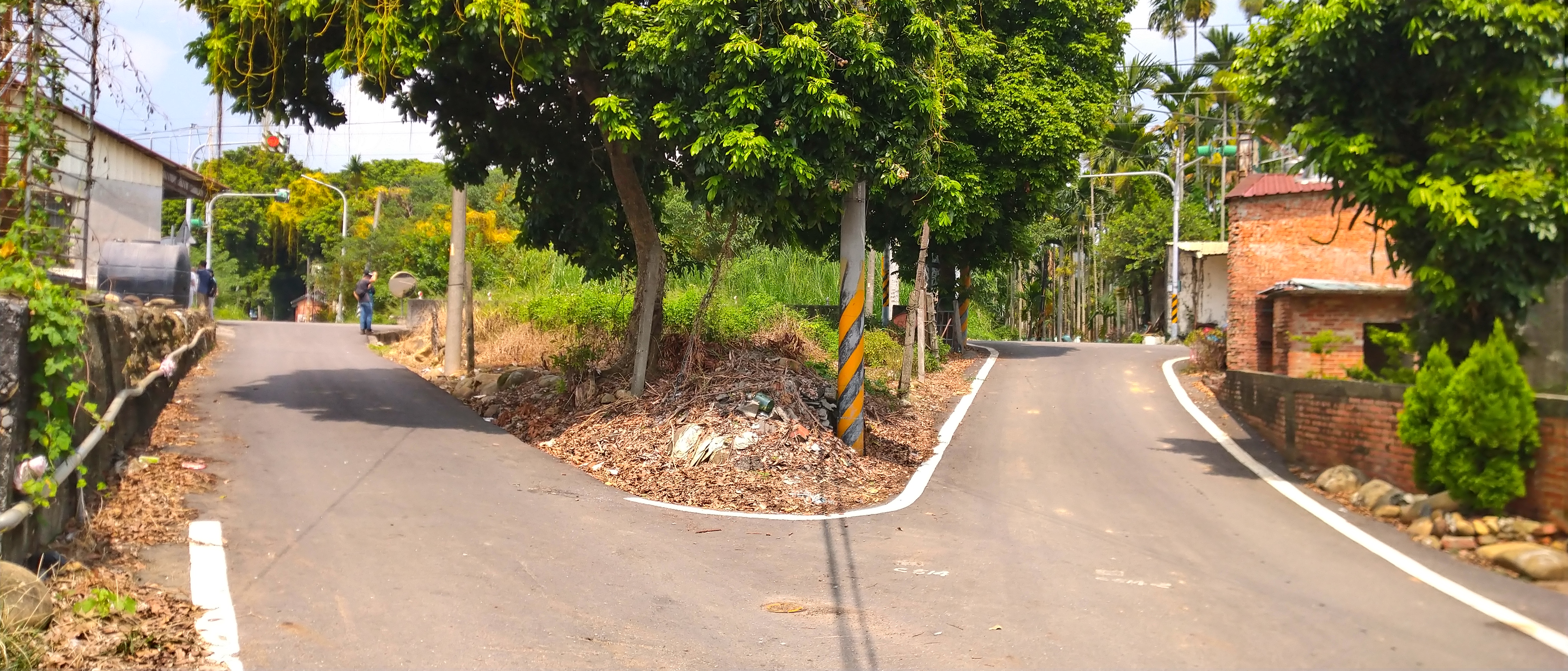 南投縣名間鄉大庄村太平巷原況照片