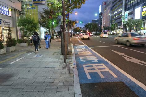專用道標線分隔(日本案例)